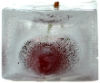 Frozen Cherry pitted block IQF from Greece