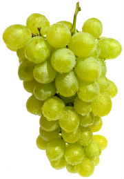 grape Victoria from Greece