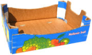Carton box net weight 5 kg