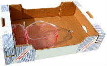 Carton box for packing of stone fruits, citruses, kiwi and other fruits in punets of 1 kg